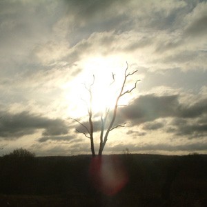 Ashtead Common, Surrey, UK