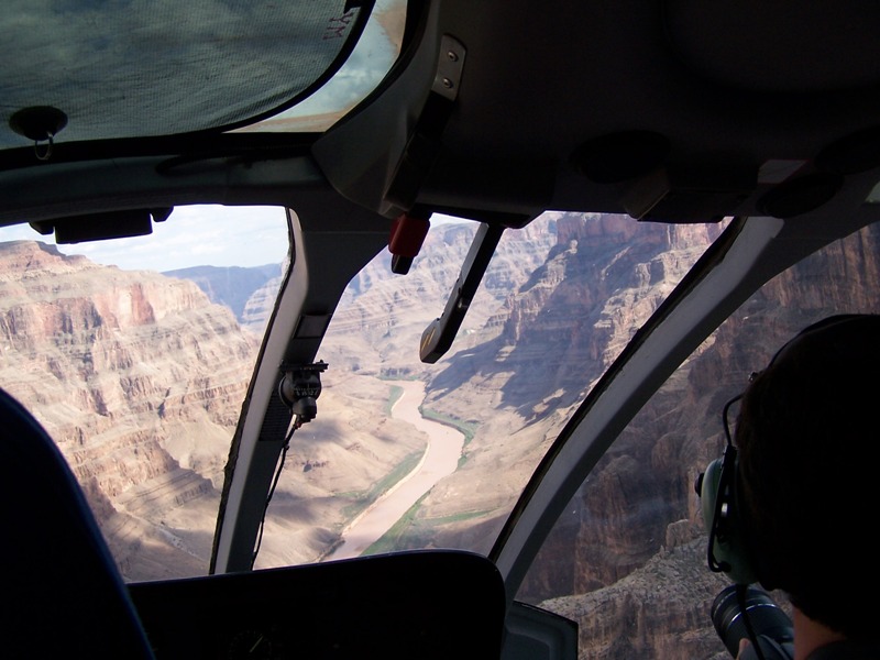 just coming in to land for lunch