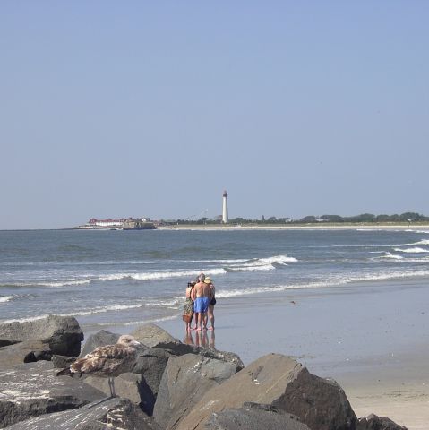 Cape May Point light viewed fro the "Cove" in Cape May, NJ, USA