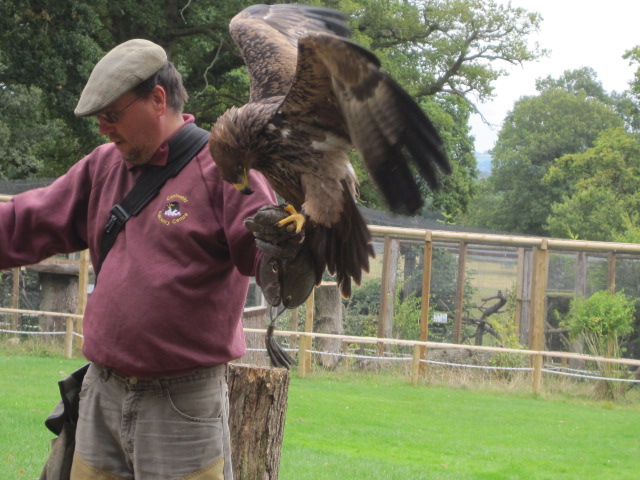 This fellow gave us a fascinating falconry demonstration, with a variety of raptors doing their stuff.