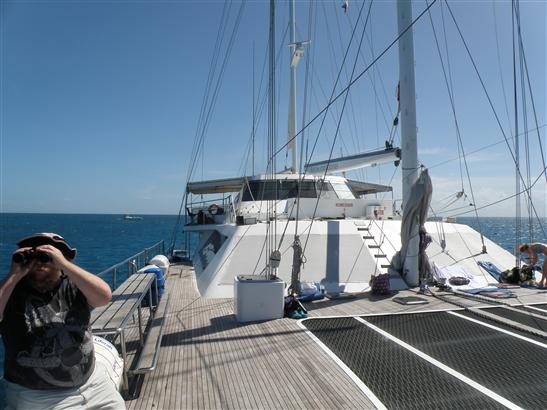 that took us out to Michaelmas Cay to see the Great Barrier Reef.