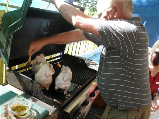 tending the beer can up the bum chooks.