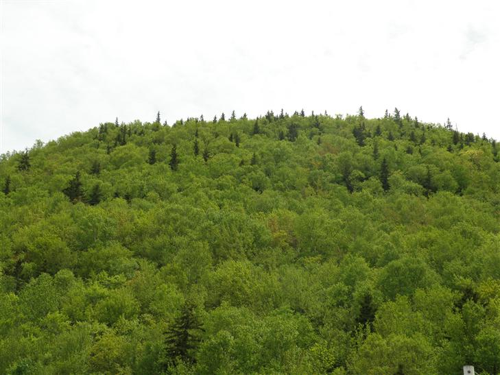 along the Cabot Trail.