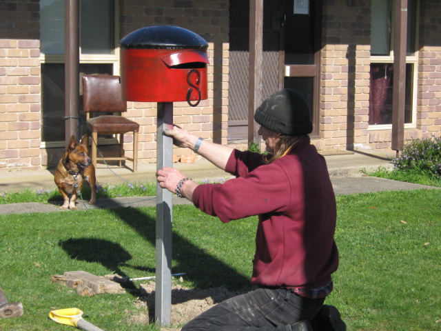 dave it at work and now he is putting it up