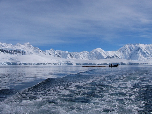 One of our Zodiacs towing some kayaks to shore for the kayak enthusiasts to enjoy some time on the water. 