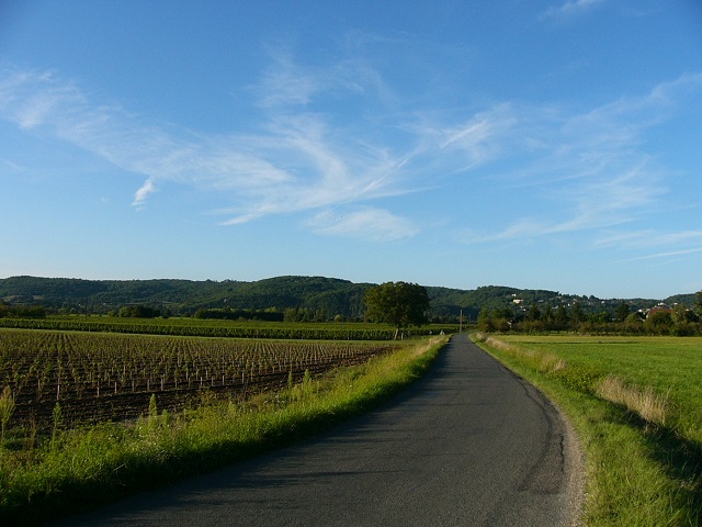 Walking into Puy L'Eveque among the grape vines.