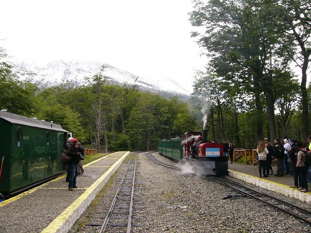 Another lovely surprise. I booked a bus and train trip up into the National Park. I couldn't believe the forests in the area. 