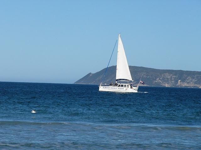 Albany Whale Tours catamaran in King George Sound