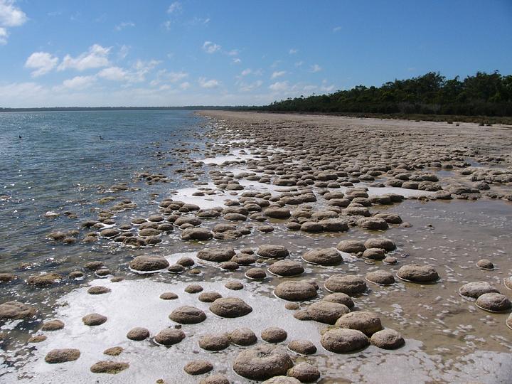 Taken just a few miles out of Mandurah. It is said they dominated the world's ocean more than 600 million years ago and will eventually join up to form a flat surface with the circles showing as some have in the background