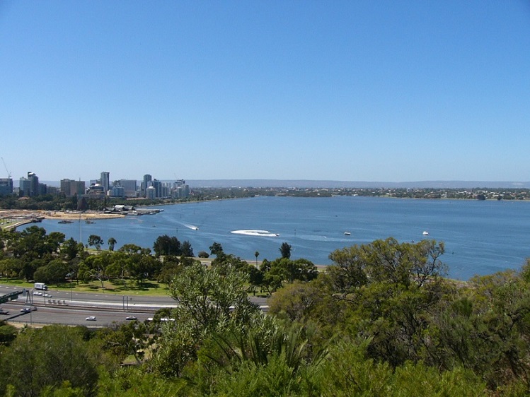 Overlooking Perth and the Swan River from King's Park.