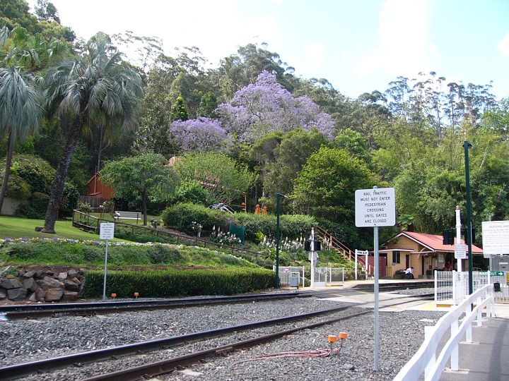 The beautiful gardens at Spring Bluff Railway Station. There was no train that day, unfortunately.