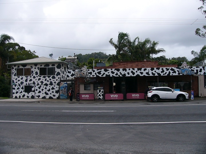 We stopped in this small town of Mooball as the buildings are mostly painted like this one to resemble cows. Cute!