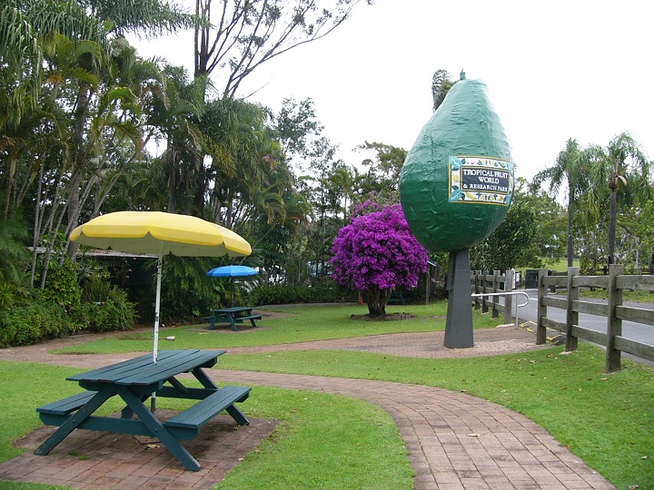 Tropical Fruit World where we stopped for lunch.