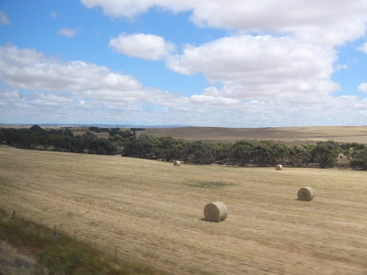 A view from the train in the rural area of South Australia.