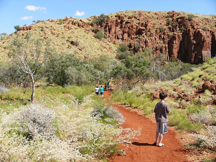 The track to Python Pool with the wild flowers out in bloom in the bush. 