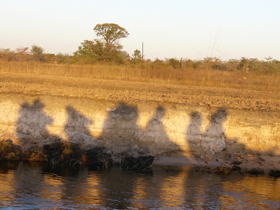 Sunset shadows on our way back from an animal sightseeing trip on the river.