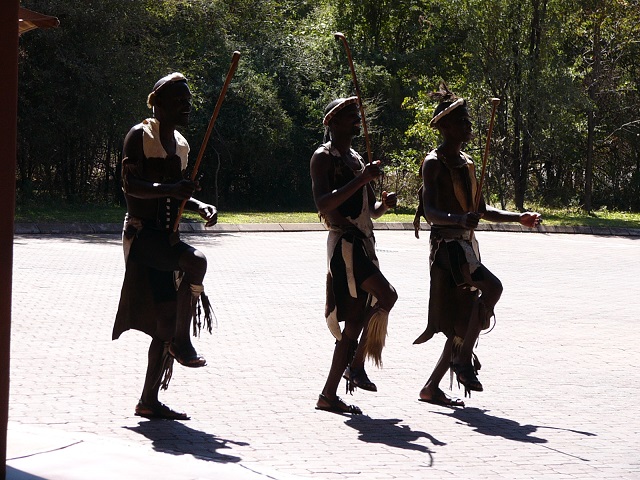 The welcome committee at our hotel in Livingstone