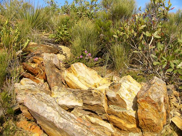 The colours in the rocks in the Ranges is quite spectacular sometimes. Our native bush in the background. 