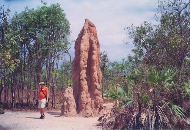 Giant termite hill in Northern Territory