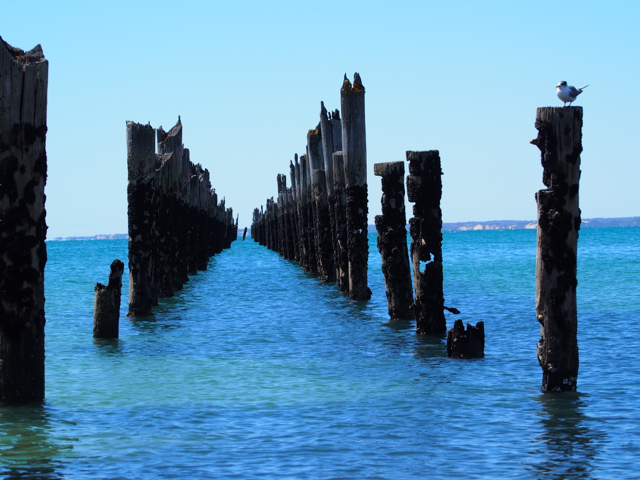 This jetty was burned down about 70 years ago.  There are now plans to build a new one next to it.