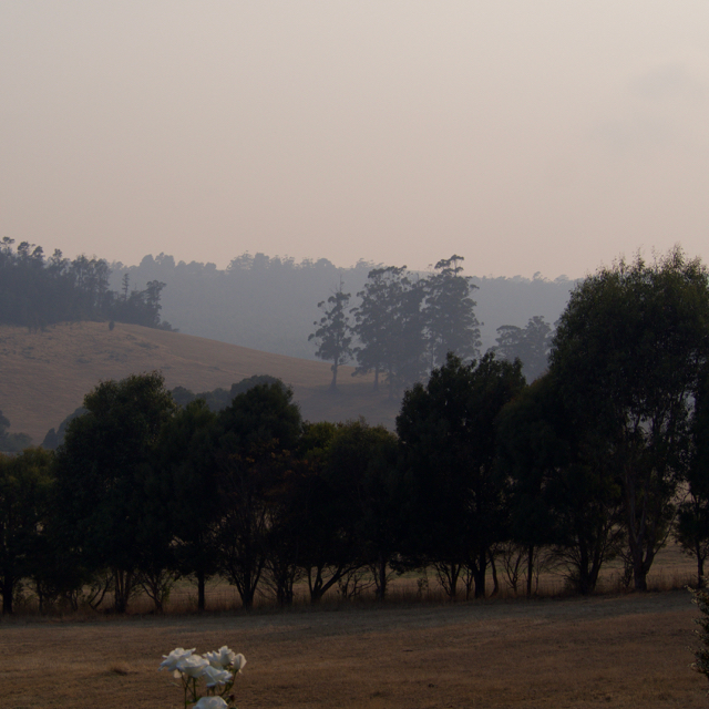 Looking up our valley.  The whole state has been covered by smoke for the last 4 days, with no change in sight.