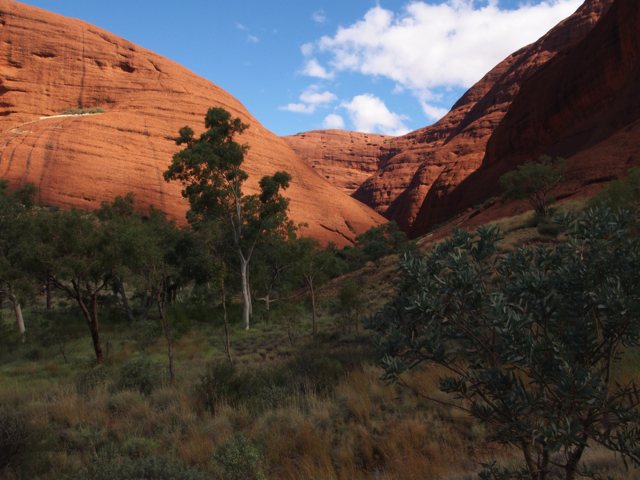 We climbed up through this steep valley to the second lookout.  One person couldn't face the  climb, but Jane and I were intrepid explorers.  Nothing stopped us.