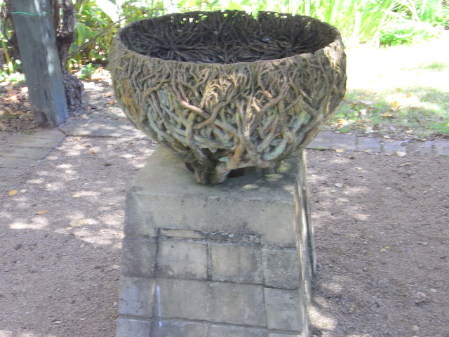 This unique ''bowl'' had been formed from the roots of an old tree