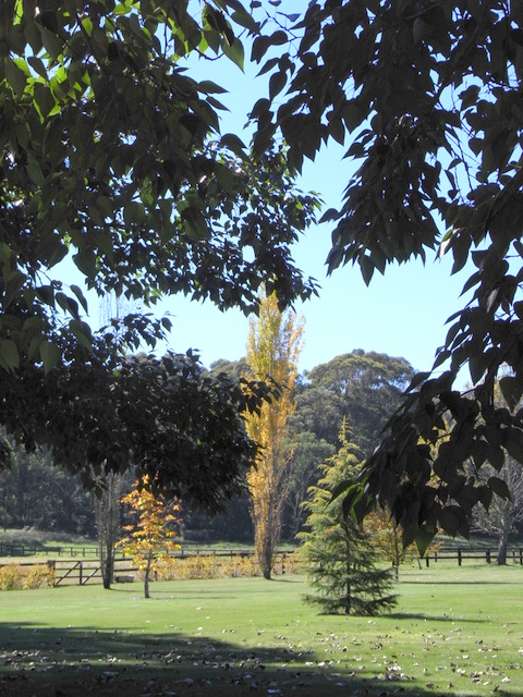 One of the boundaries of the 7 acre garden within 100 acre property