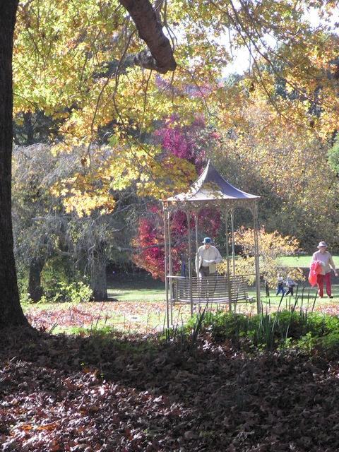 This was a very large well established garden of about 10 acres. Some very old trees and lots of variety