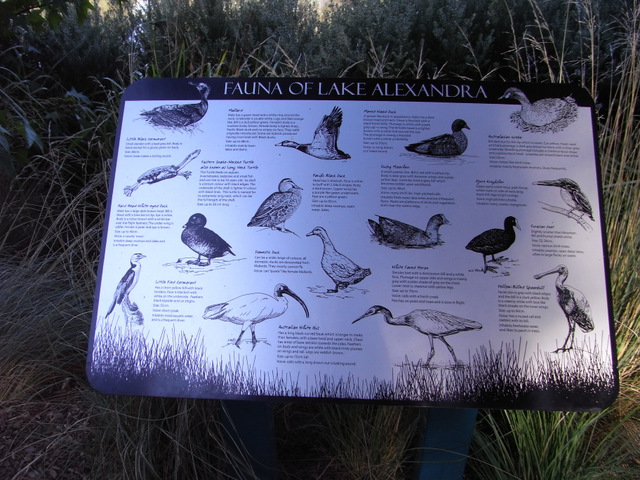 This notice indicates those birds which are welcome at the lake - but we often get a few ''visitors''