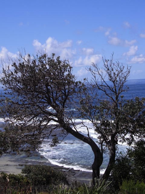 View of the rocky foreshore which could be hazadous to shipping taken from the Norah Head site