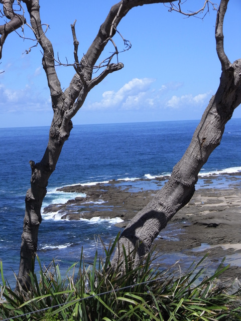 Another viewn of the treacherous shoreline