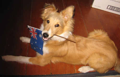 Skoosh with Aussie Flag