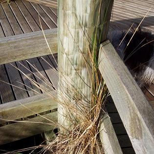 Dry grass around a post at Ned Neales lookout