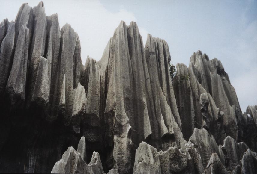 Stone forest in Kuming