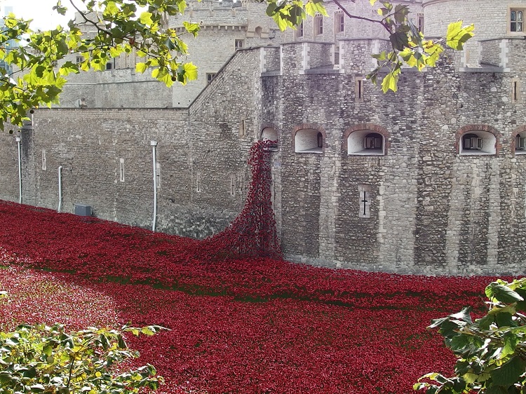 They shall grow not old, as we that are left grow old:
Age shall not weary them, nor the years condemn.
At the going down of the sun and in the morning,
We will remember them.

Lest we Forget