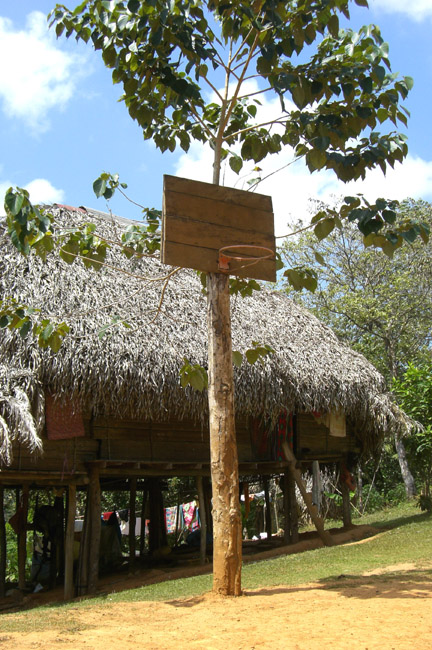 The basketball court....just hang it on a tree!